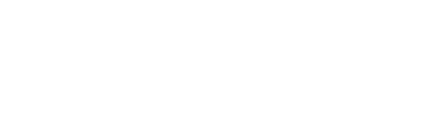 Logo d. Löwen-Apotheke Braunau Löwenkopf mit Schriftzug